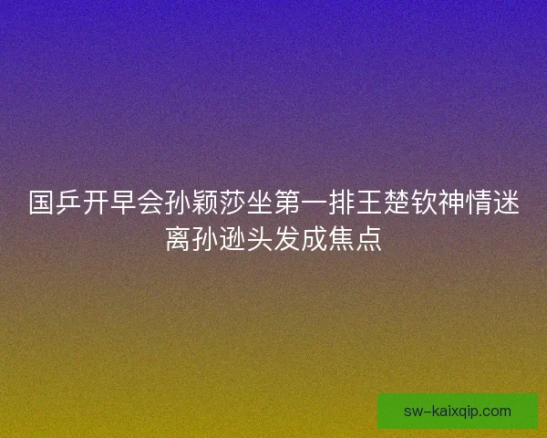国乒开早会孙颖莎坐第一排王楚钦神情迷离孙逊头发成焦点